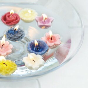 J} ԂÂ Mtg Zbg 낤 Lh @ o  ~ ~  O  MtgTԂ l\ Ԃ Au O (SD) r 4000~ Mtg