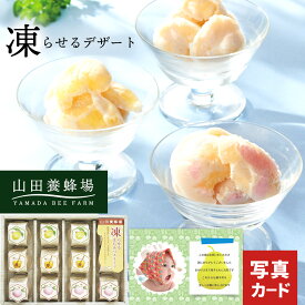 お中元 2025 夏 ギフト アイスクリーム 夏ギフト 山田養蜂場 凍らせて食べる はちみつ スイーツ 桃 レモン フルーツ アイス 常温保存 贈り物 お礼 お見舞い お中元 お返し お祝い お返し 内祝い 出産 おすすめ 家族 兄弟 親戚 上司 お盆 送料無料 4000円 (CSD)軽 暑中見舞い
