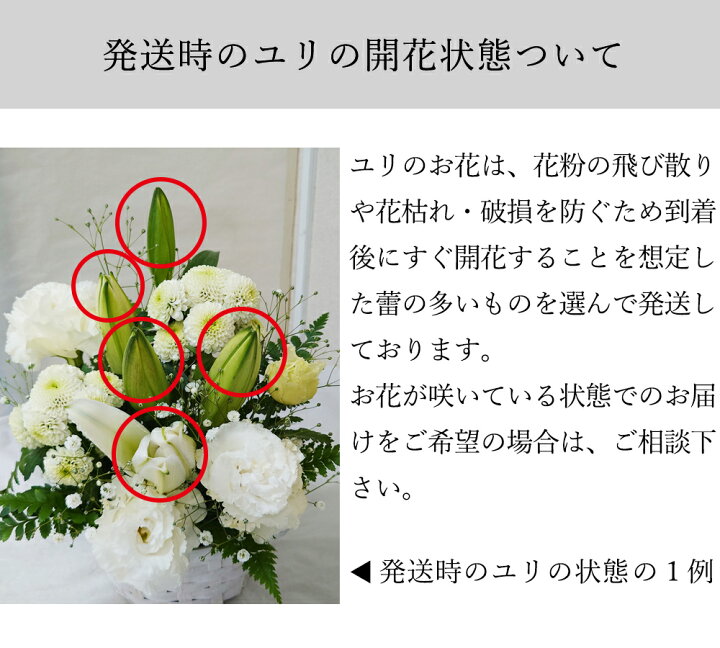 楽天市場 あす楽 花 白 アレンジメント カゴ付き 供花 お彼岸 枕花 お盆歳暮飾り 初盆 新盆 法事 仏事 弔事 命日 月命日 一周忌 三周忌 初七日 四十九日 法要 お悔やみ お墓参り 供養花 仏壇花 仏花 喪中お見舞い 回忌 ペット の