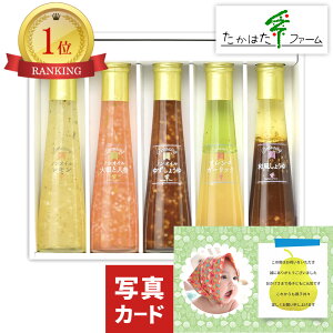 oYj ͂t@[ hbVO 5{  j oY j jԂ 1 j v[g j oYj oYj j j 3000~ (LO) y LO j