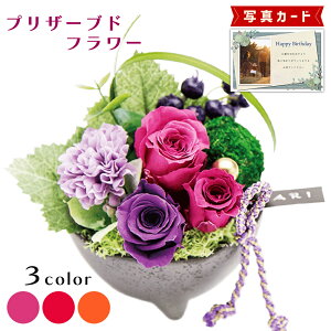 ԂƂَq a AW sN vU[uht[ v[g j j av[g 60 (DB) [] N ސEj ͂Ȃ 蕨   e e   4000~ 