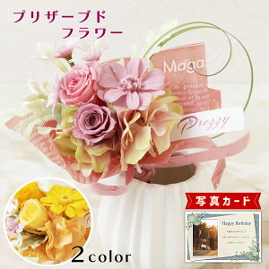 ԂƂَq u[P sN IW vU[uht[ v[g e j j av[g e ̓ 60 (DB) [] N ސEj ͂Ȃ 蕨 e   4