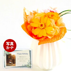 ԂƂَq u[P IW vU[uht[ v[g j j av[gv[g Mtg  60 (DB) [] N ސEj Ԃ ͂Ȃ 蕨 e 