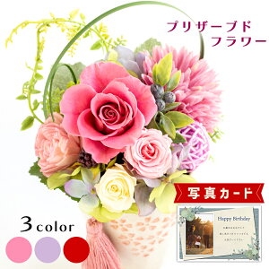 ԂƂَq  3F vU[uht[ v[g e j j av[g e ̓ 60 (DB) [] N ސEj ͂Ȃ 蕨 e   5000~ ʐ^ 