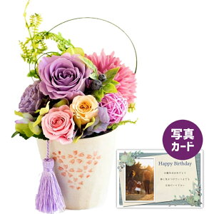 ԂƂَq  p[v vU[uht[ v[g e j j av[gv[g e Mtg  60 (DB) [] ސEj     5000~ َq Z