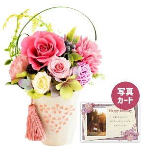 ԂƂَq  sN vU[uht[ v[g j j av[gv[g Mtg  60 (DB) [] N ސEj Ԃ ͂Ȃ 蕨 e  