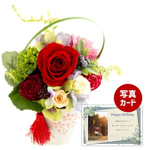 ԂƂَq  bh vU[uht[ v[g j j av[gv[g Mtg  60 (DB) [] N ސEj Ԃ ͂Ȃ 蕨 e  