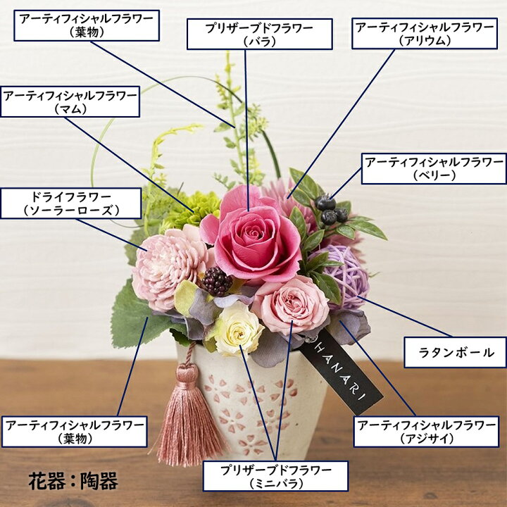 見事な創造力 舞桜 3色 カタログギフト P Qu プリザーブドフラワー プレゼント お祝い 結婚祝い 誕生日プレゼント Db B2 新築祝い 定年 退職祝い 開店祝い お見舞い 枯れない花 贈り物 母 女友達 フラワーギフト おしゃれ 花 円 母の日ギフト 敬老の日 1万円 Fucoa Cl