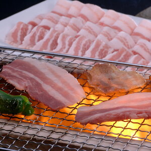 Ε  oYj Mtg R` oēi600gj  ؓ  蕨   lC oY j  j Ԃ e   5000~ winter gift present (SK)y  LO 