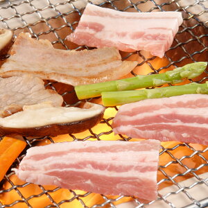 Ε  ~Mtg oYj Mtg R` R` o ē i1kgj  ؓ  蕨   lC oY j  j Ԃ e   5000~ winter present (SK)y  