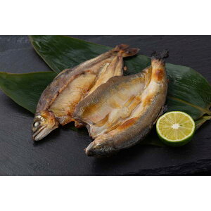 j Ԃ oY bZ[WJ[h  m l\Is  銱 6 Zbg 35g J CYi CN 蕨 oYj   w Vz C j TԂ ܎O jԂ 