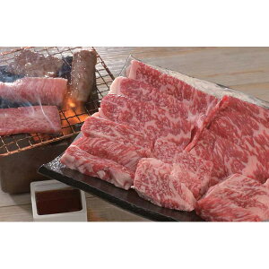 Ε  ~Mtg j Ԃ oY bZ[WJ[h  啪 L㋍ ē o 500g јa uh   蕨 oYj   w Vz C j TԂ ܎O 