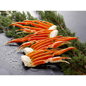 j Ԃ oY bZ[WJ[h  {C 킢 r {킢 Nx̂܂ }Ⓚ W[V[ 蕨 oYj   w Vz C j TԂ ܎O j