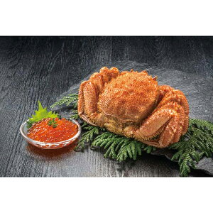 j Ԃ oY bZ[WJ[h  kC JlRcY т  Zbg lC CN CYi 蕨 oYj   w Vz C j TԂ ܎O jԂ 