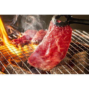 Ε  ~Mtg j Ԃ oY bZ[WJ[h  _ސ ܂苍 ē  560g јa zX^C   蕨 oYj   w Vz C j T