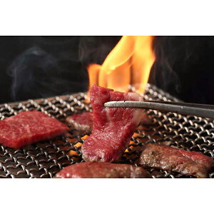 Ε  ~Mtg j Ԃ oY bZ[WJ[h   ݖ쉮 ݖa ēp 3 u[X uXP  900g 蕨 oYj   w Vz C j TԂ 