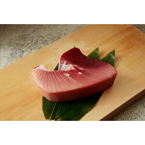 Ε  ~Mtg j Ԃ oY bZ[WJ[h  ÉĒ VR ܂ ubN gt 500g   CN CYi 蕨 oYj   w Vz C j T