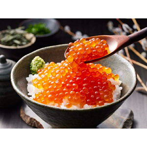 内祝い お返し 出産 メッセージカード 無料 海鮮 魚介 北海道産 いくら 醤油漬け 秋鮭 魚卵 40g 10パック 贈り物 出産祝い お礼 結婚 入学 新築 快気 祝い 香典返し 七五三 お祝い返し 送料無料