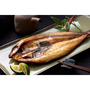 Ε  j Ԃ oY bZ[WJ[h  kCY 銱 l ق J ꂢ L CN  1.3kg 蕨 oYj   w Vz C j TԂ ܎O 