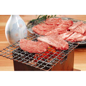 Ε  j Ԃ oY bZ[WJ[h   T _˃r[t _ˋ An ē  o J^ 1kg  蕨 oYj   w Vz C j TԂ 