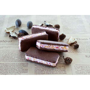 内祝い お返し 出産 メッセージカード 無料 福岡 BeFactory あまおう ショコラ サンド クッキー 16個 チョコレート ココア生地 贈り物 出産祝い お礼 結婚 入学 新築 快気 祝い 香典返し 七五三