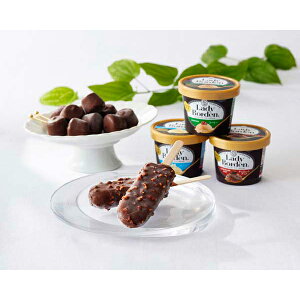 内祝い お返し 出産 メッセージカード 無料 レディボーデン バラエティ セット プレミアム 上質 バニラ コーヒー チョコ 贈り物 出産祝い お礼 結婚 入学 新築 快気 祝い 香典返し 七五三 お