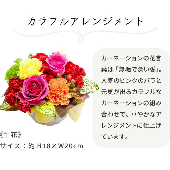 楽天市場 あす楽 花 生花 バラ カラフル アレンジ 千疋屋 フルーティ バウム 洋菓子 お菓子 花とスイーツ 退職祝い 金婚式 誕生日 傘寿 プレゼント ギフト 菓子 スイーツ プラス おしゃれ 母 60代 70歳 70代 Gift Present Hm 包装 楽天市場 あす楽 花 生花 バラ カラフル アレンジ 千疋屋 フルーティ バウム 洋菓子 お菓子 花とスイーツ 退職祝い 金婚式 誕生日 傘寿 プレゼント ギフト 菓子 スイーツ プラス おしゃれ 母 60代 70歳 70代 Gift Present Hm 包装