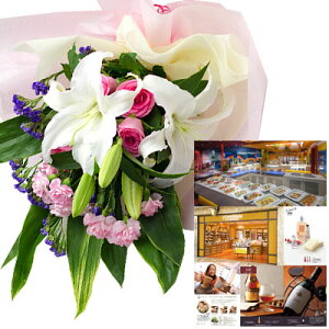   o sN ԑƃJ^OMtgZbg OEuhi G B-DO (SE) j  i LO җj NސE t[Mtg 70 ꖜ~ ސEj j a