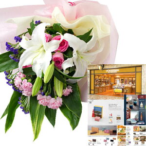   o sN ԑƃJ^OMtgZbg OEuhi G B-BO (SE) j  i LO җj NސE t[Mtg 70 ꖜ~ ސEj j a