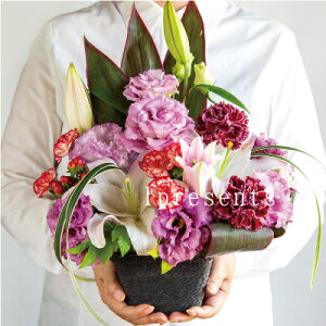 a v[g Ê j   AWg JSt    t[ Mtg   ސEj j җ Êj P Ď   ސE j v[g