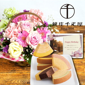 a v[g   XC[g sN AWg JSt ƐD t[eB oE o[N[w   mَq j ސEj  Mtg lC َq XC[c 