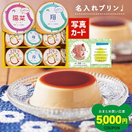 出産内祝い お菓子 個包装 名入れ プリン 6個 出産 内祝い お返し スイーツ 出産祝い お祝い返し 3000円 …