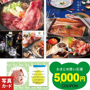 ySS P5{z j Ԃ O J^OMtg 1~ R[X ʐ^ J[h oYj j Vzj Mtg Hi Hו  a C oY j  Vz w j