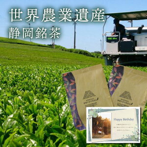 oYj O E_ƈY 50gx4 jԂ j oY  j Ԃ j j oYj (KM)y Hi MtgZbg j Mtg  j Mtg L