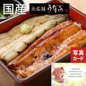 j O Y l Ȃ   4lO Ă jԂ j oY  j oYj j oYj Ԃ (KM)y Hi Ȃ Mtg j Mtg 