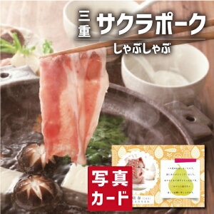 oYj Mtg |[N Ԃ oY j  ސEj Ԃ   Y lC (SK)y O  ސE a 蕨 j YO  1 4000~L