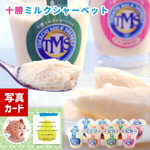 oYj Mtg \~N V[xbg ʐ^  J[h oY j  җ Ê P Ԃ XC[c ACXN[ mَq lC (SK)y j  1 3000~ 4000~ 