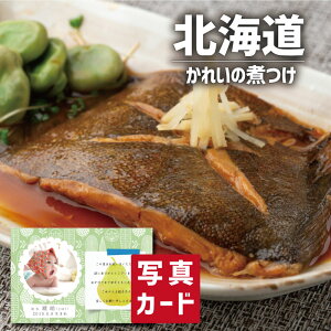 oYj Mtg kC MY ꂢ̎ς A ʐ^ J[h oY j  Ԃ O Y CN Hו lC (SK)y  j YO  1 j 5000