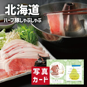 ؓ oYj j Mtg kC ^Y n[u  [X ʐ^ J[h oY j  Ԃ Hו O Ε  Y uh lC (SK)y  j