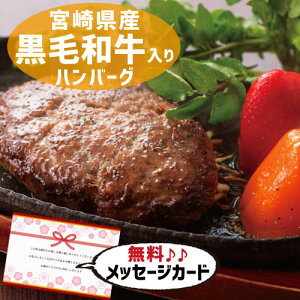  oYj j Mtg {苍  no[O Zbg ʐ^ J[h oY j  Ԃ Hו O Ε Y lC (SK)y jMtg  j Y