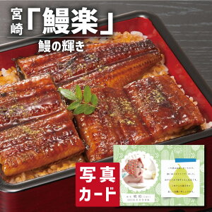 oYj Mtg { Ȃ ؐg ʐ^  J[h oY j  Ԃ O Ε Y CN Hו lC (SK)y  j  YO Ε 