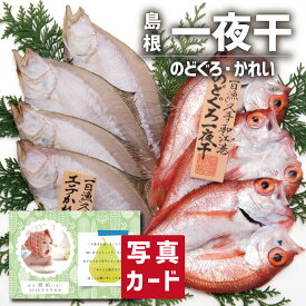 楽天市場 のどぐろ ランキングの通販