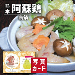 aH oYj j Mtg 刢hǂ { ʐ^  J[h oY j  Hו O Ε  Y  lC (SK)y jMtg  j  YO