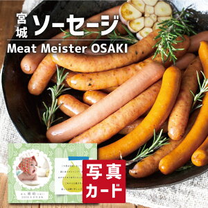  oYj Mtg { \[Z[W Zbg A ʐ^  J[h oY j  Ԃ Hו O Y lC (SK)y  j  YO 1 a 5000
