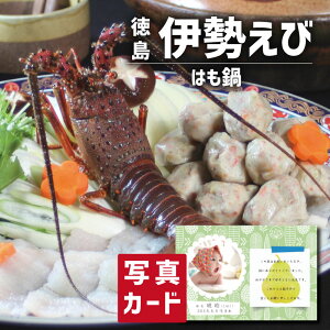 oYj Mtg  ጎ ͂ƈɐт̓ ʐ^ J[h oY j  Ԃ O Ε Y CN Hו lC O Ε (SK)y  j YO 