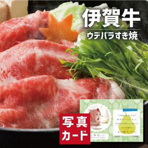 Ε  ~Mtg  oYj j Mtg ɉꋍ Efo Ă p ʐ^ J[h oY j  Ԃ O Y Y uh lC O (SK)y jMtg