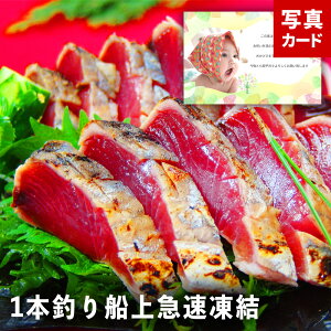 oYj Mtg     ʐ^  J[h oY j  Ԃ O Y CN Hו lC (SK)y  j  YO 1 4000~ Hi 