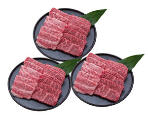 oYj Mtg  MBv~A ē ʐ^ J[h oY j  Ԃ O Y uh lC O (SK)y j  1 ꖜ~ 1~ Hi 