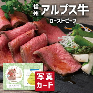  oYj Mtg MBAvX[Xgr[t ʐ^  J[h oY j  Ԃ Hו O Y lC (SK)y  j  YO a 500