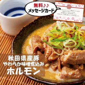 oYj  Mtg HcY 炩 Xύ z ʐ^  J[h oY j  Ԃ Hו O Y lC (SK)y  j  1 a